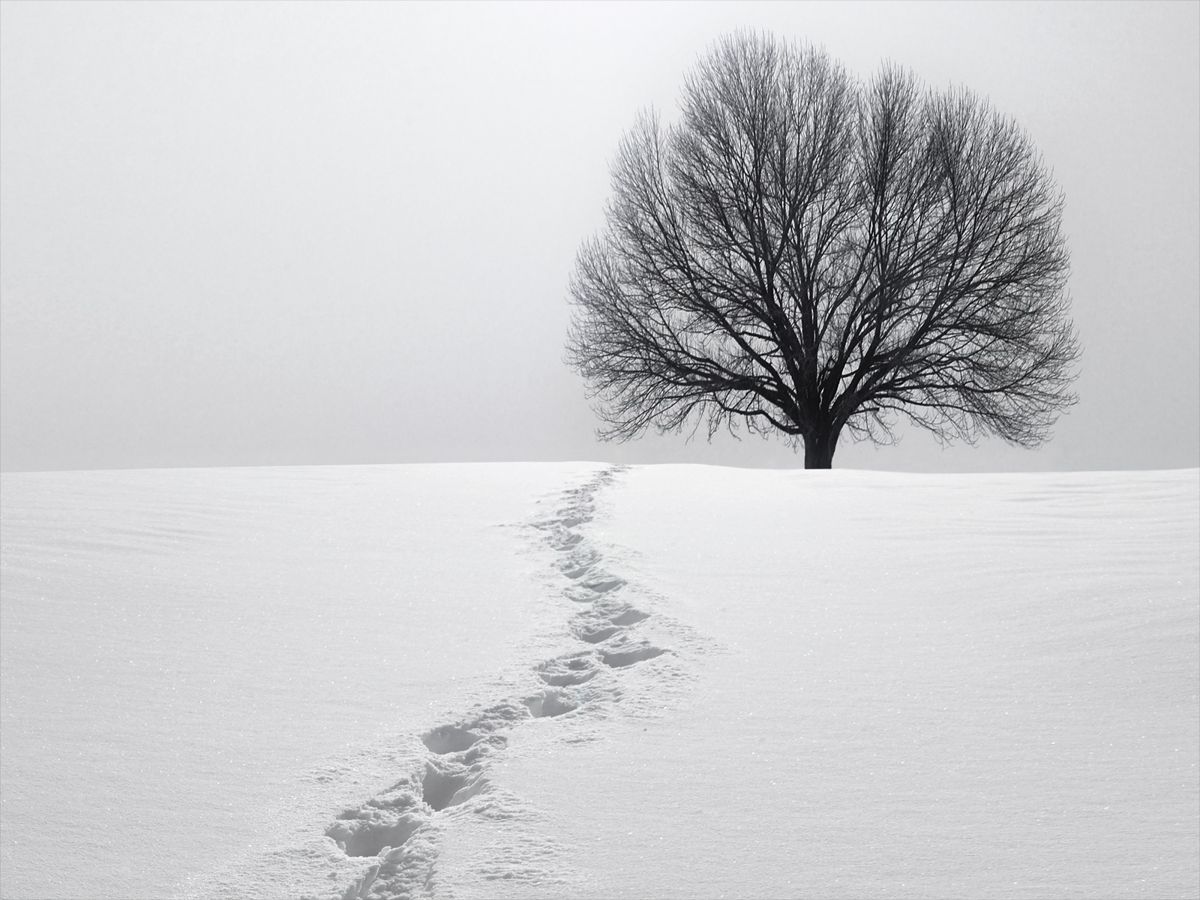 Captured using Photo