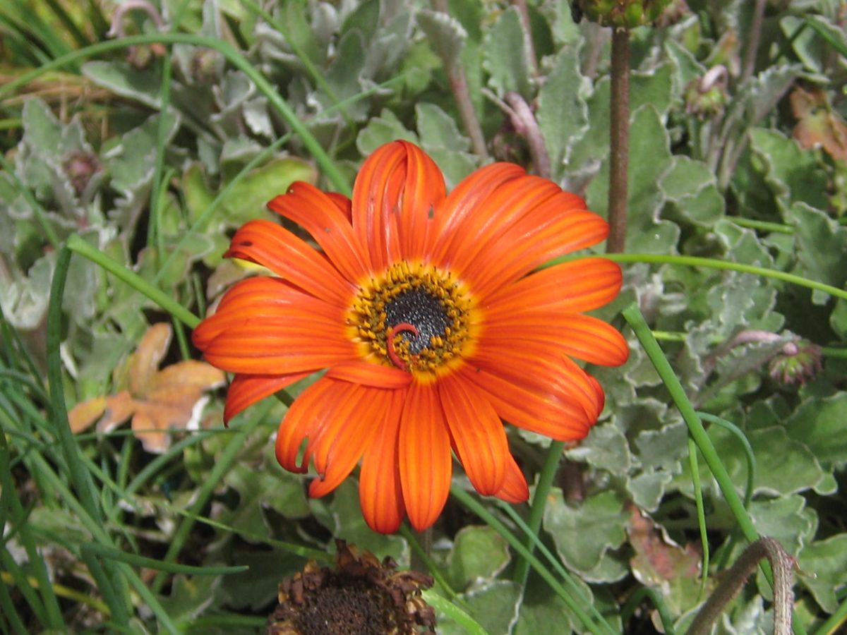 Photo 2010-10- - Captured with Canon PowerShot SD750