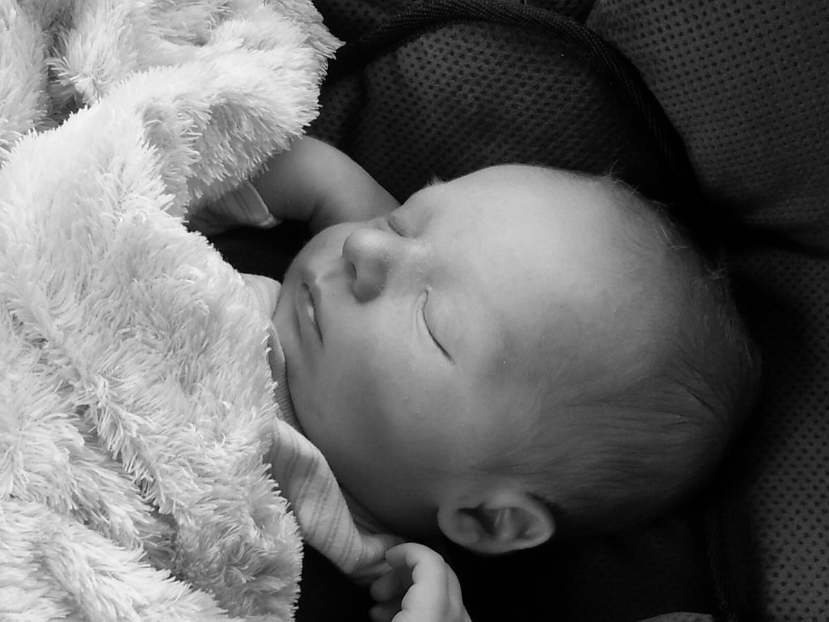 Photo 201448-1 - Captured with Camera