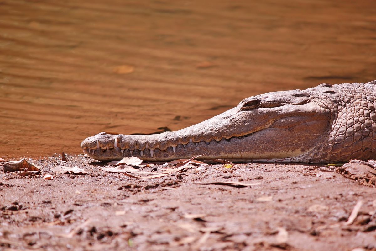 Photo 207015_5 - Captured with Canon EOS 500D