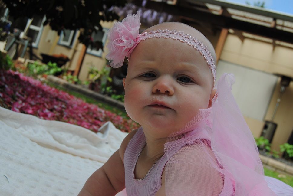 Photo 211303_5 - Captured with NIKON D3000