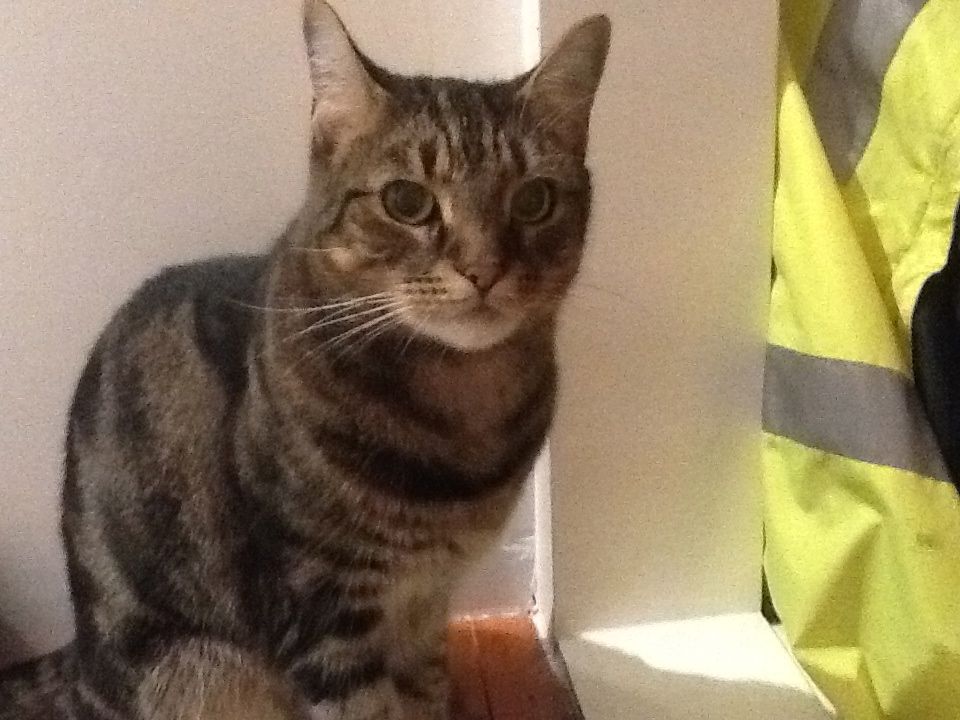 Photo 243423_5 - Captured with iPad 2
