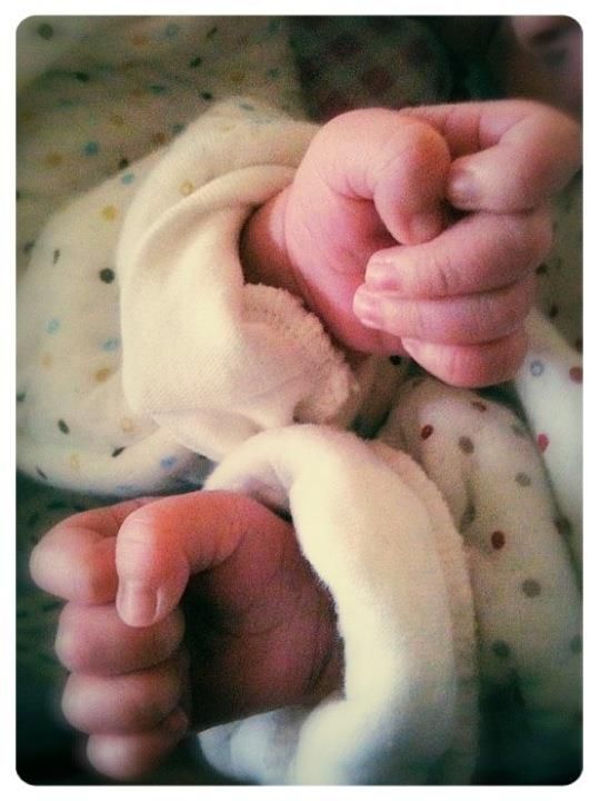 Photo 283625-1 - Captured with Camera
