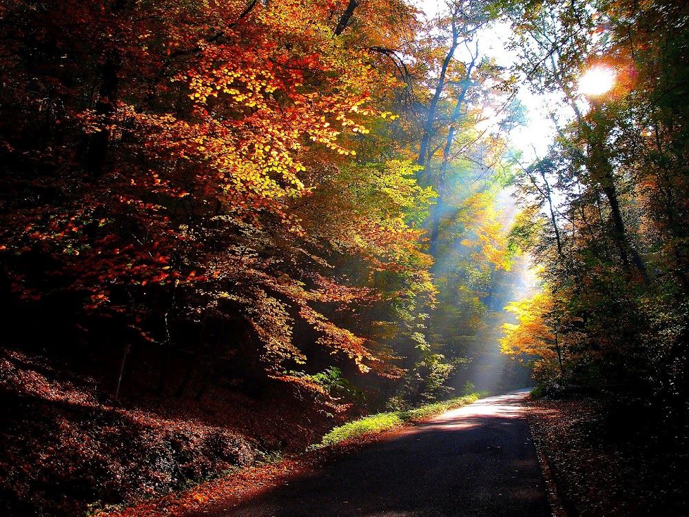 Photo 289121_5 - Captured with Camera