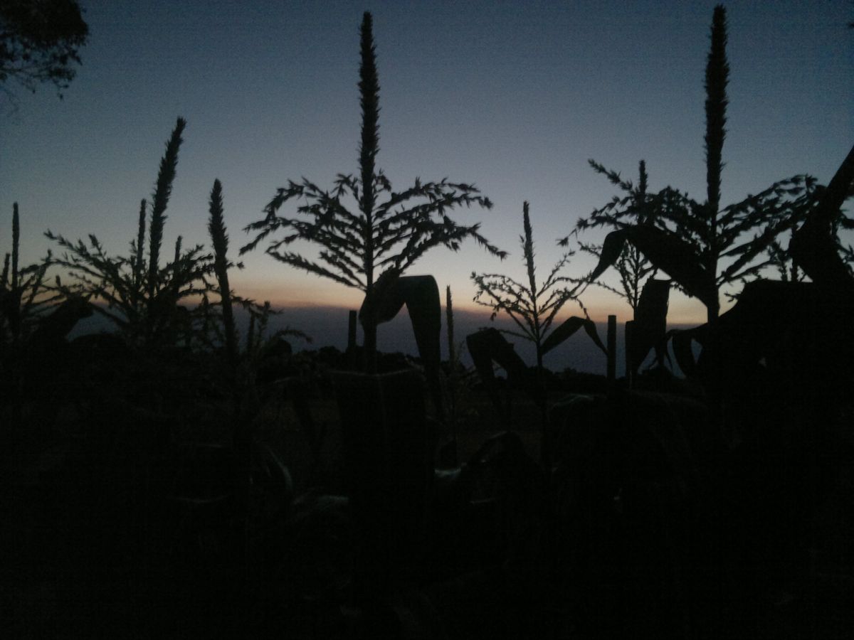 Photo 338611_5 - Captured with N8-00