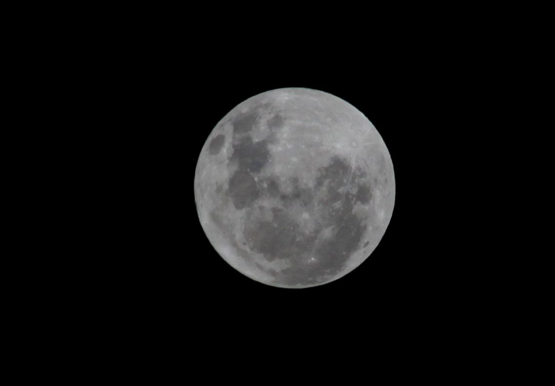 Photo 354125_5 - Captured with Canon EOS 5D Mark II