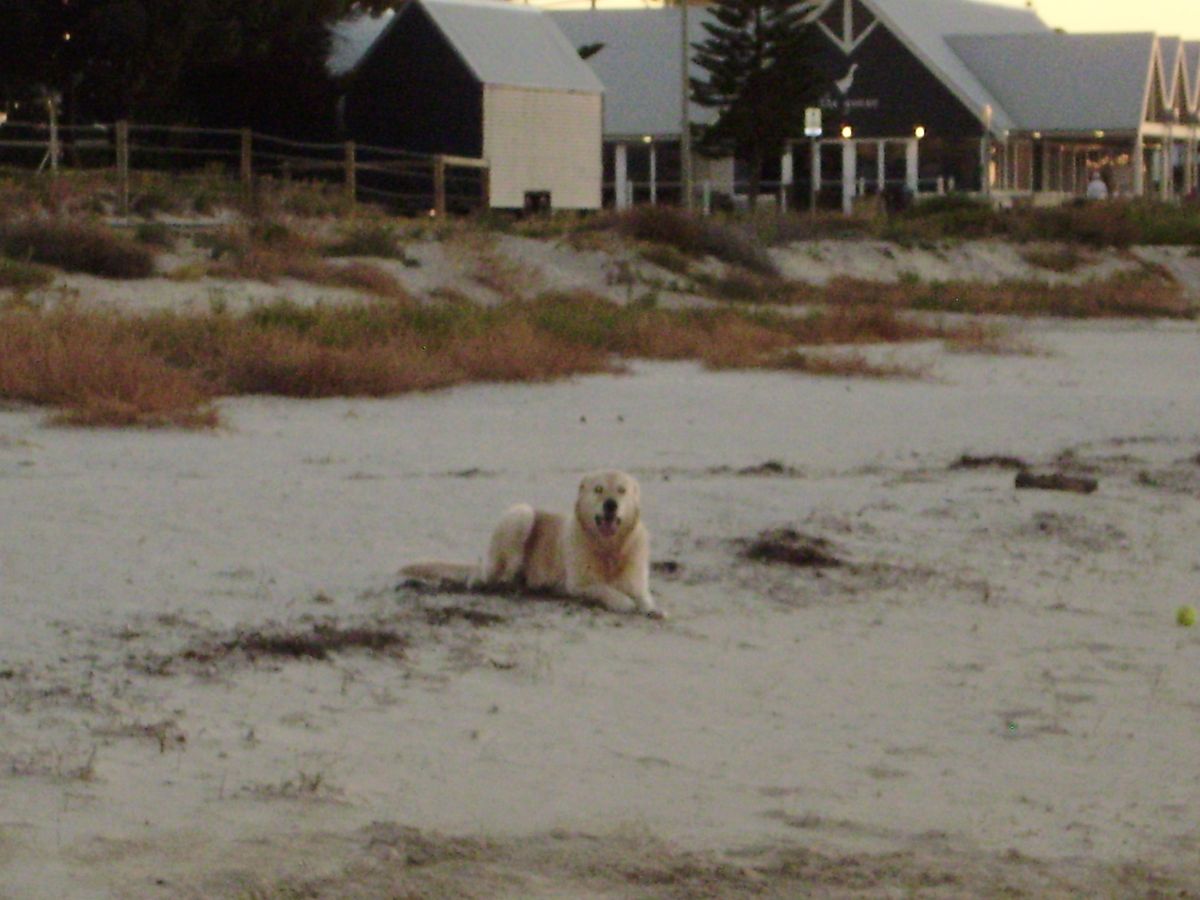 Photo 382387_5 - Captured with FE290,X825